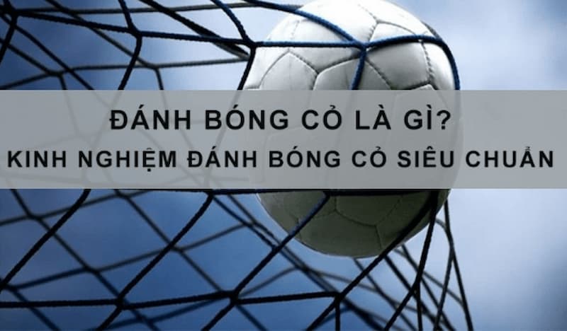 Kèo bóng cỏ Kèo bóng cỏ