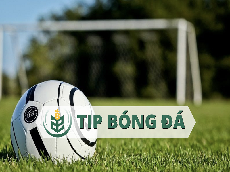 tips-bong-da tips bong da