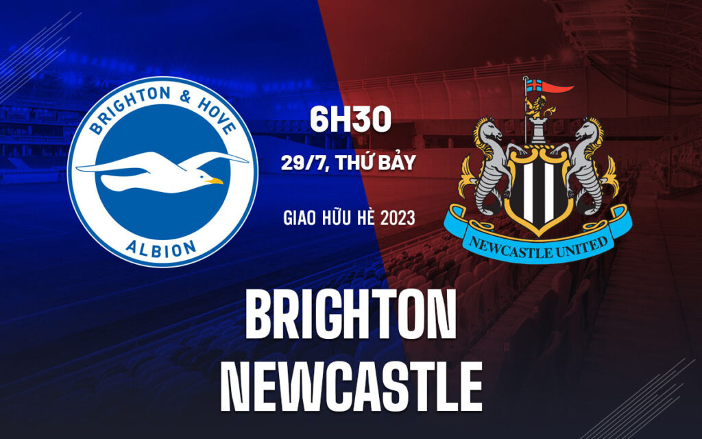 Nhận định Brighton vs Newcastle - Giao hữu căng thẳng 6 Nhận định trận đấu Brighton vs Newcastle